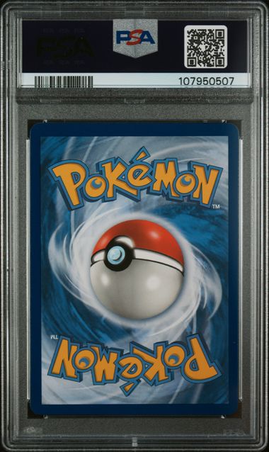 2019 POKEMON SM BLACK STAR PROMO EEVEE & SNORLAX GX #SM169 PROMO-TAG TEAM TINS PSA 10 back - PSA cert 107950507