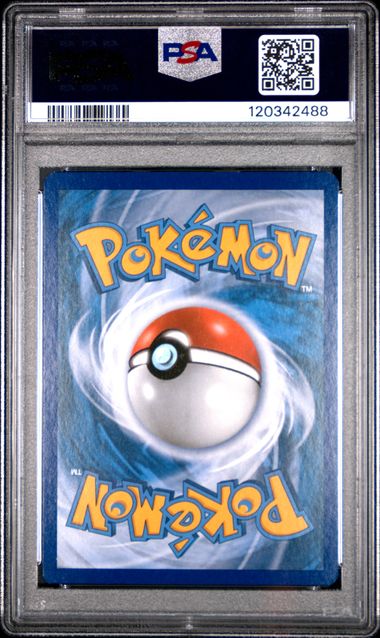 2014 POKEMON XY FLASHFIRE P.M. CENTER LADY #105 FLASHFIRE PSA 9 back - PSA cert 120342488